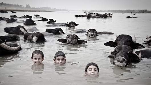 برگزیدگان دومین جشنواره بین‌المللی عکس رژان معرفی شدند