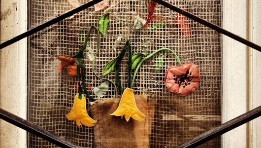 نمایشگاه عکس‌های گلناز طاهری با عنوان «هر چیزی را که دوست دارند»
