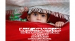 فراخوان دومین جشنواره عکس کرسم اوز‎