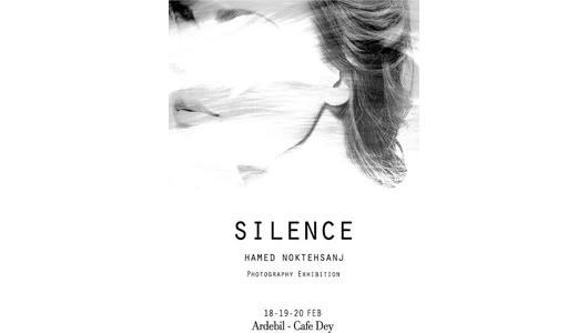 نمایشگاه حامد نکته‌سنج با عنوان «سکوت» در کافه دی