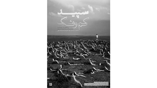 نمایشگاه عکس سپید کم‌رنگ در مشهد