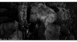 نمایشگاه بیژن صیفوری با عنوان «نو-ستالژی» در گالری راه ابریشم
